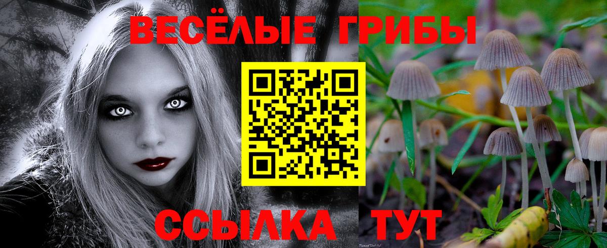 Галлюциногенные грибы ЛСД Заречный