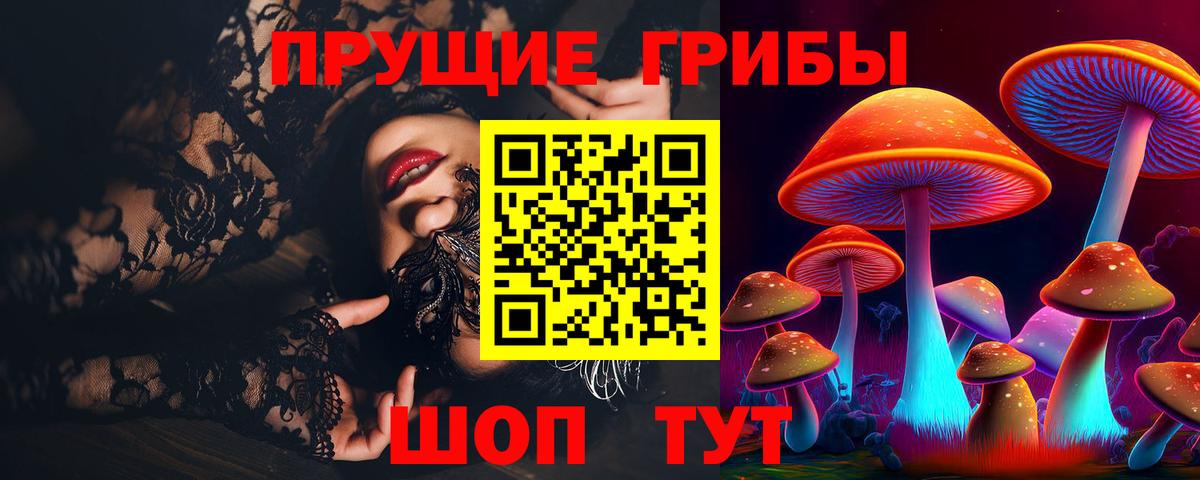 Заречный  Псилоцибиновые грибы MAGIC MUSHROOMS  где продают наркотики  Вход с VPN  Псилоцибиновые грибы Magic Shrooms 